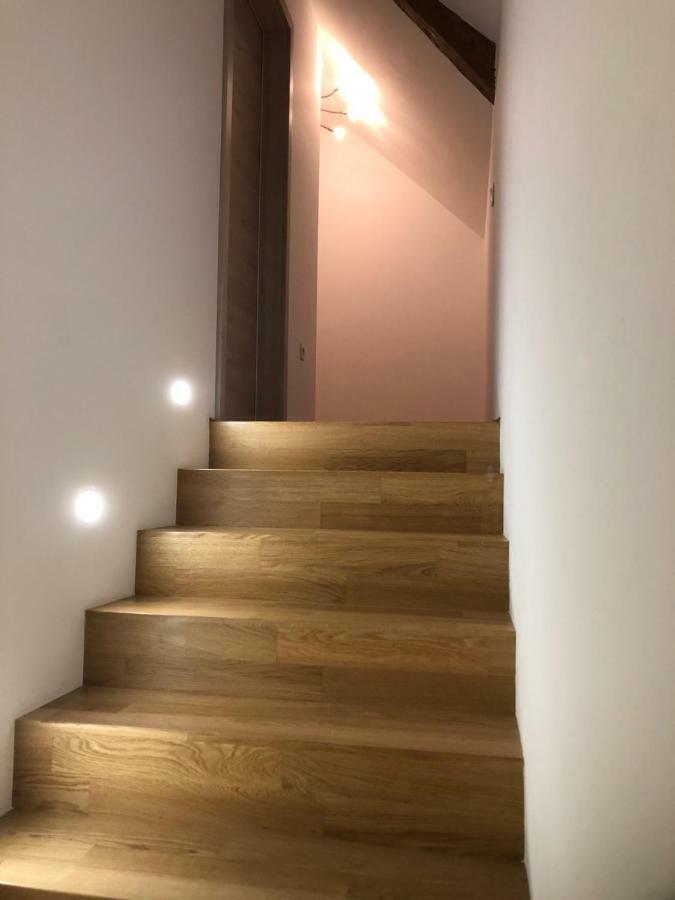 Apartma Linhartov Trg 라도블리차 외부 사진