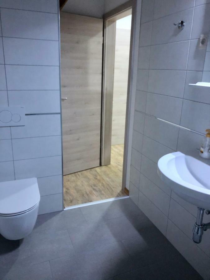 Apartma Linhartov Trg 라도블리차 외부 사진